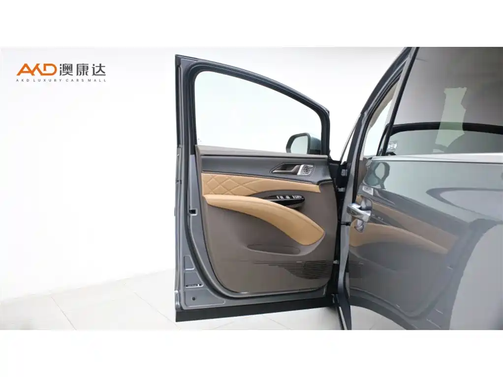 Denza D9 2022 DM-i 970 AWD Flagship фото 11