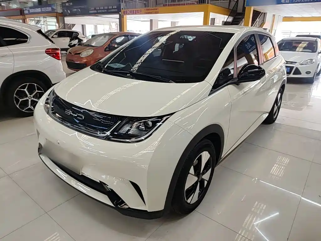 BYD Dolphin 2023 420km Freedom Edition