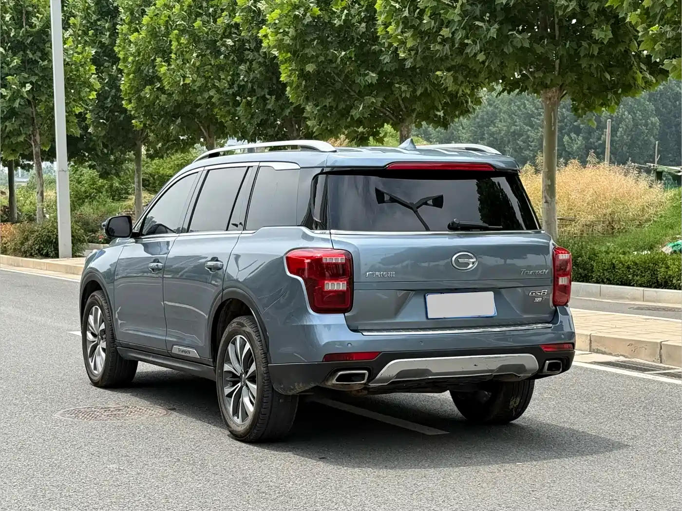 GAC Trumpchi Trumpchi GS8 2017 320T 2WD Luxury Smart Connect (7-seater) фото 8