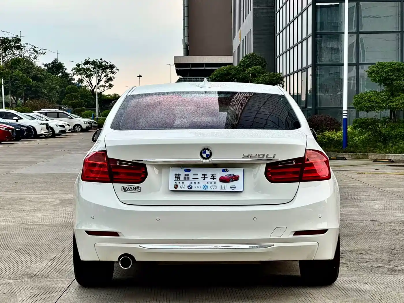 BMW 3 Series 2014 320Li Luxury Design Package фото 8