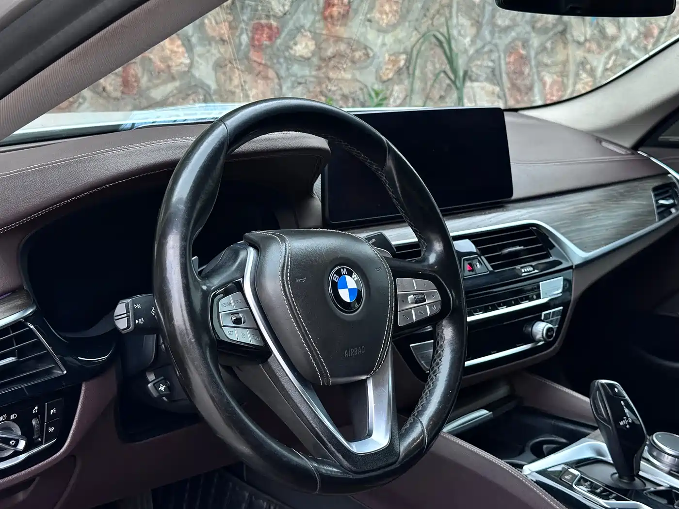 BMW 5 Series 2021 530Li Premium Luxury Package фото 12