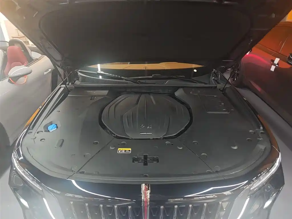 Hongqi H9 2024 2.0T Qi Enjoy Private Fashion Edition фото 20