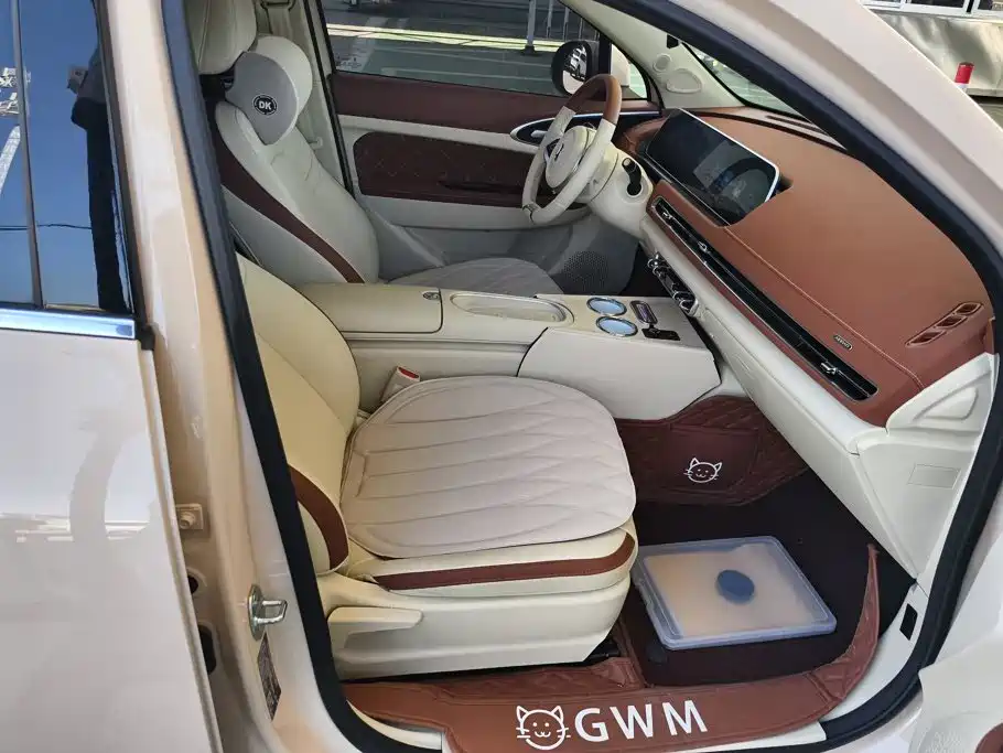 Ora Good Cat 2025 2024 401km Luxury