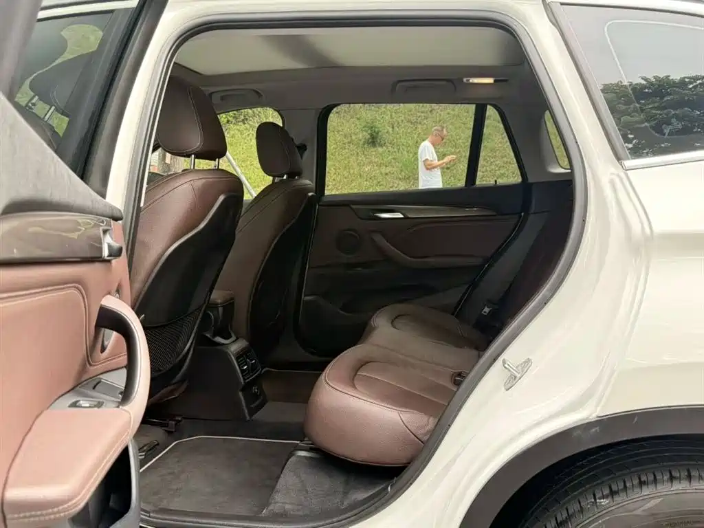 BMW X1 New Energy 2018 xDrive25Le Luxury Model фото 6