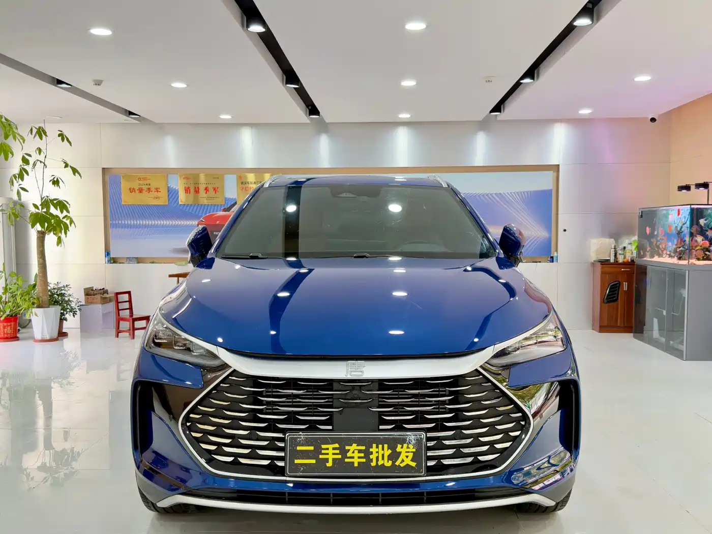 BYD Tang New Energy 2022 DM-p 215KM AWD Executive фото 2