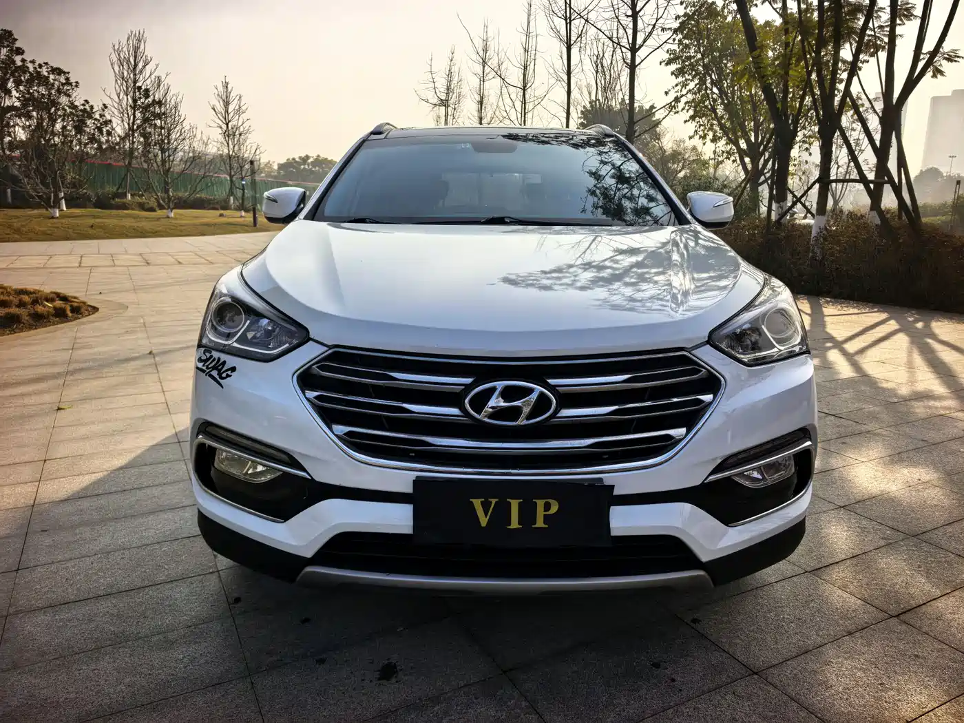 HYUNDAI SHENGDA