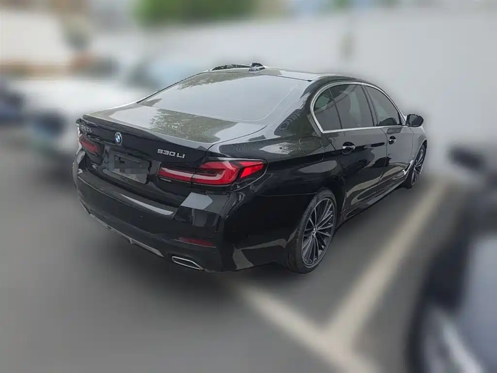 BMW 5 Series 2022 530Li Leading M Sport Package фото 12