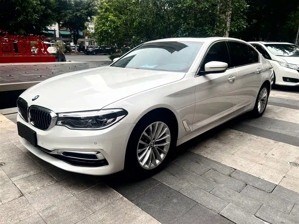BMW 5 Series 2020 530Li Leading Luxury Package
