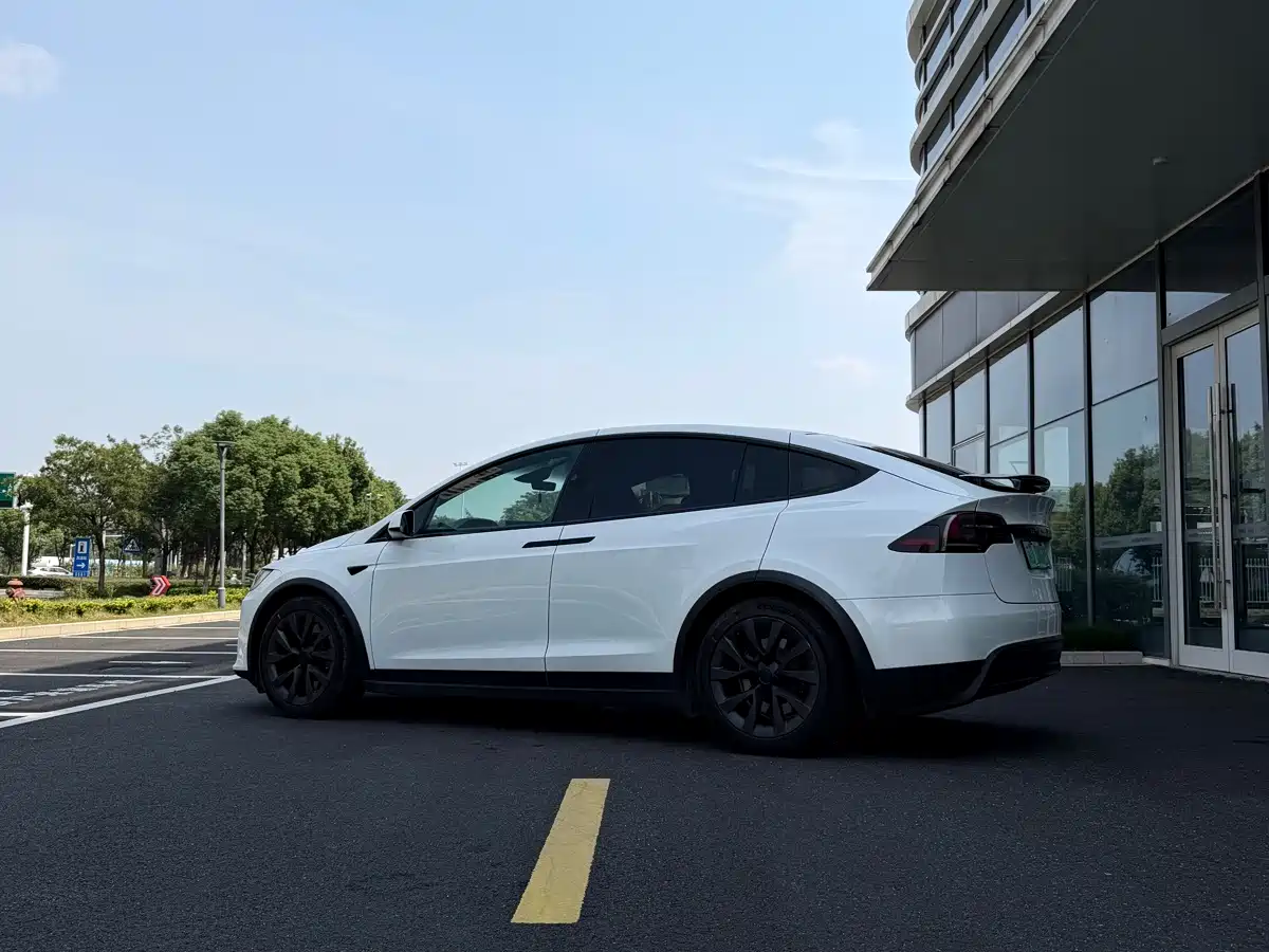 Фото 5 - Tesla Model X