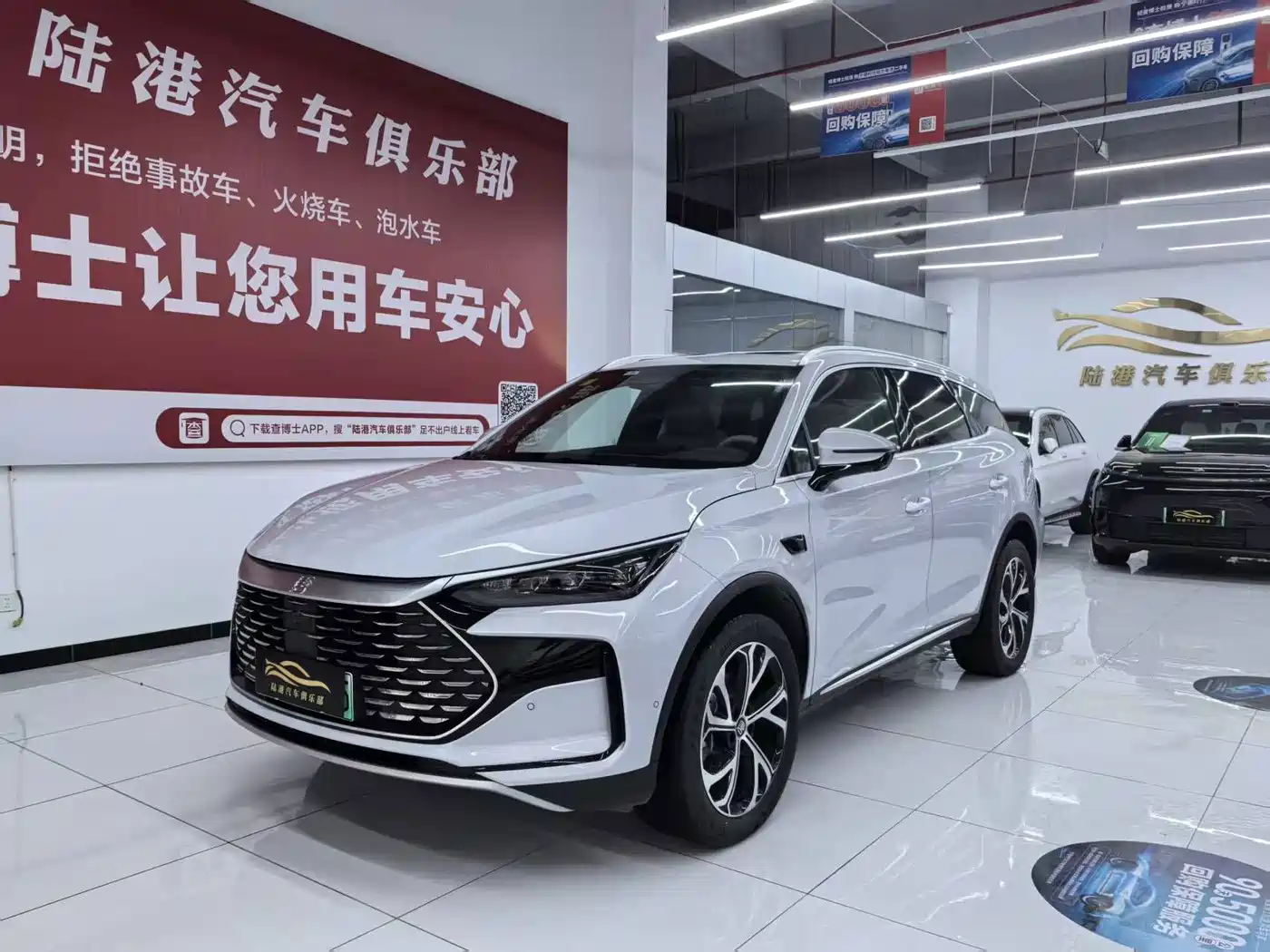 2026 BYD Tang New Energy