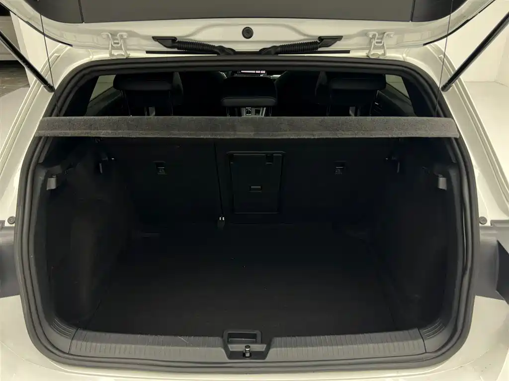 Volkswagen Golf 2021 280TSI DSG R-Line фото 23
