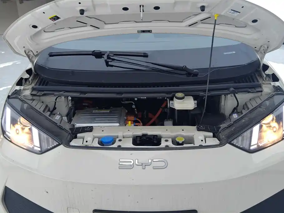 BYD Seagull 2025 Smart Drive Edition 305km Vitality Version фото 10