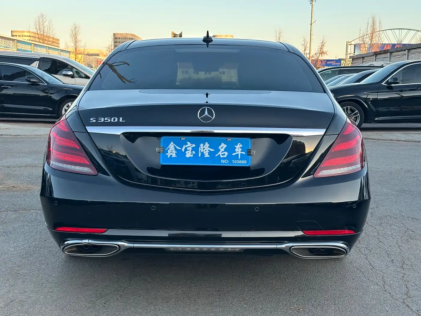 Mercedes-Benz S-Class 2018 S 350 L фото 15
