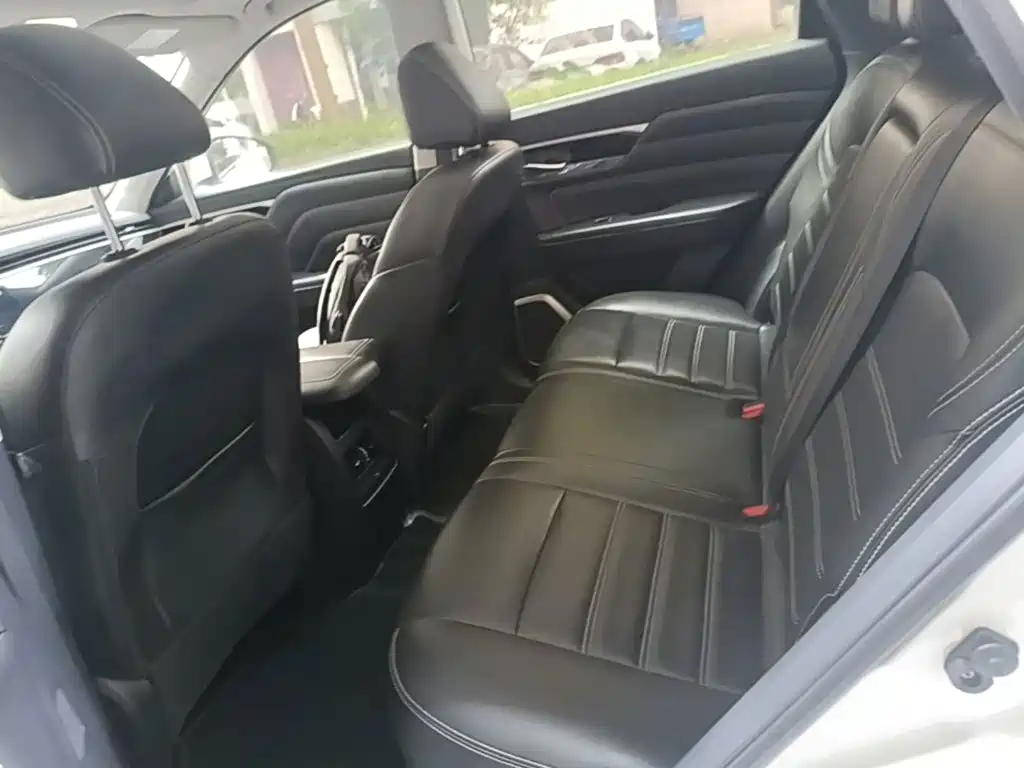 Venucia Star 2020 2020 260T Automatic 48V Mild Hybrid Turbo Star Enjoy Edition