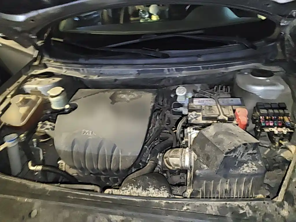 Dongfeng Fengxing Jingyi S50 2017 2017 1.5L Manual Premium