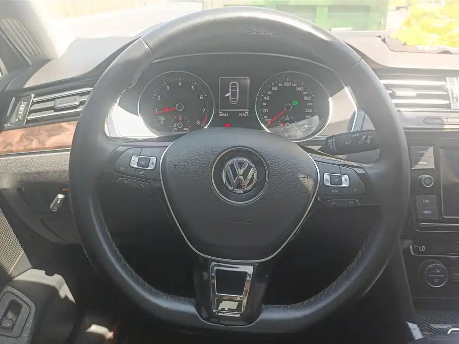 Volkswagen Magotan 2019 330TSI DSG Luxury China V фото 15