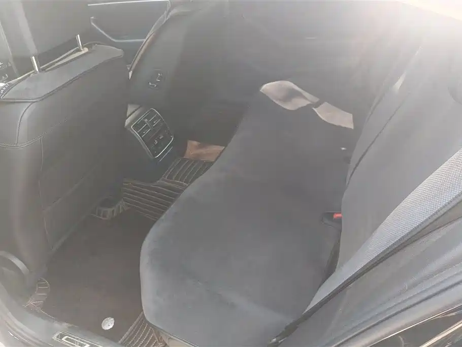 Volkswagen Magotan 2019 330TSI DSG Luxury China V фото 11