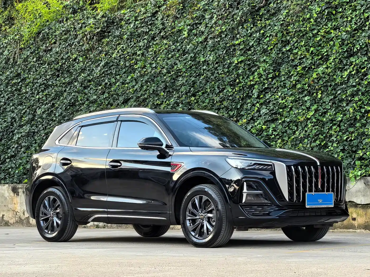Hongqi HS5 2023 2.0T Flag Enjoy Pro Edition фото 3