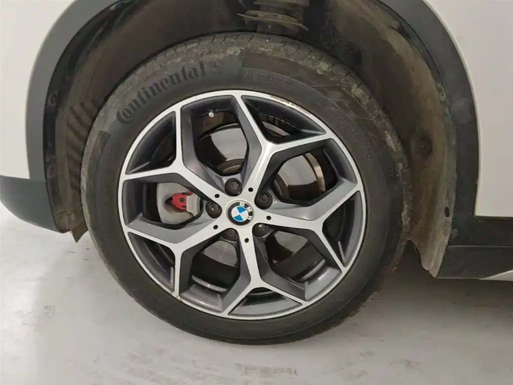 BMW X1 2019 xDrive20Li Premium Model фото 23