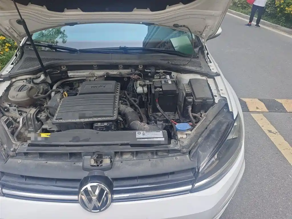 Volkswagen Golf 2018 1.6L Automatic Comfort фото 23