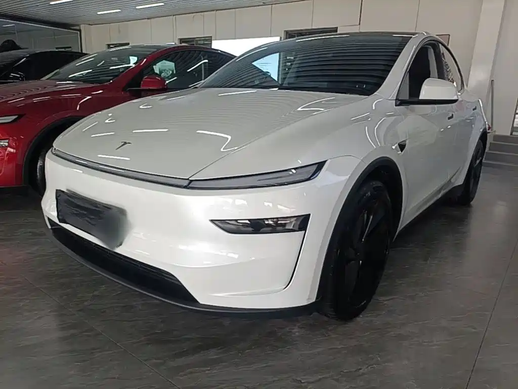 Tesla Model Y 2025 Long Range All-Wheel Drive