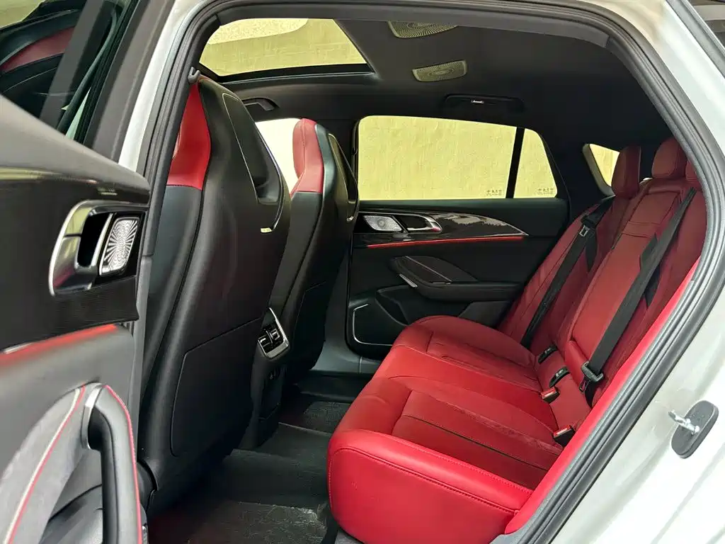 Photo 10 - Hongqi H6