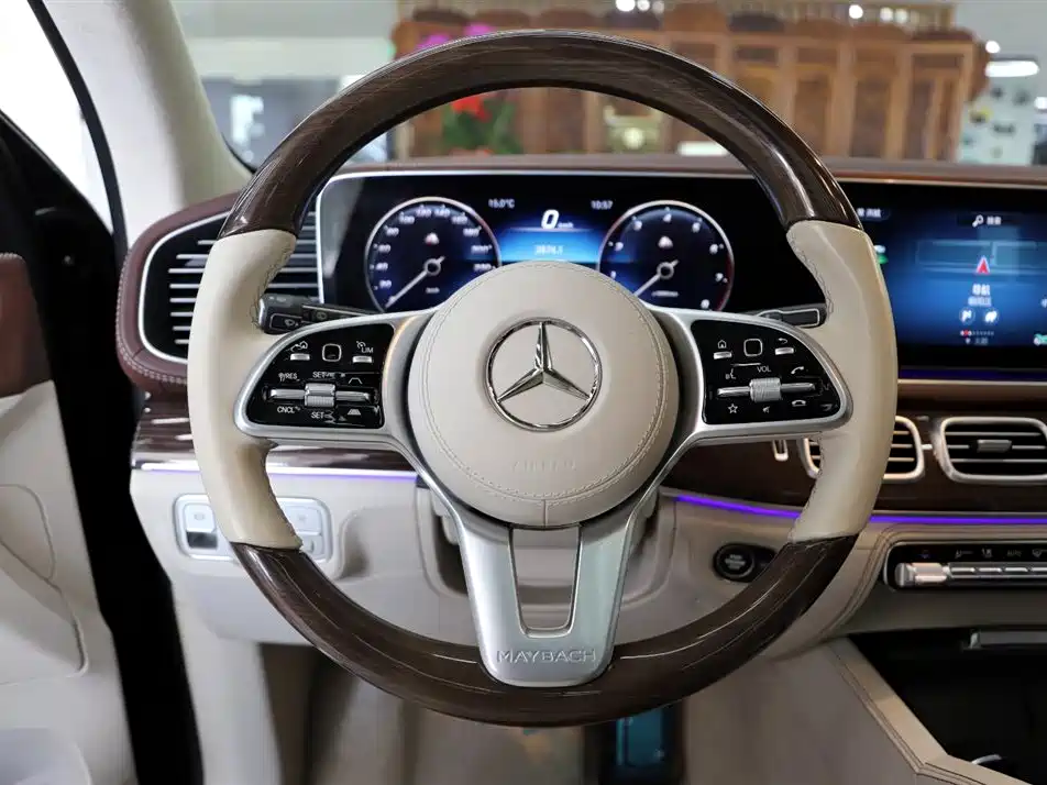 Mercedes-Benz Maybach GLS 2021 GLS 480 4MATIC фото 11