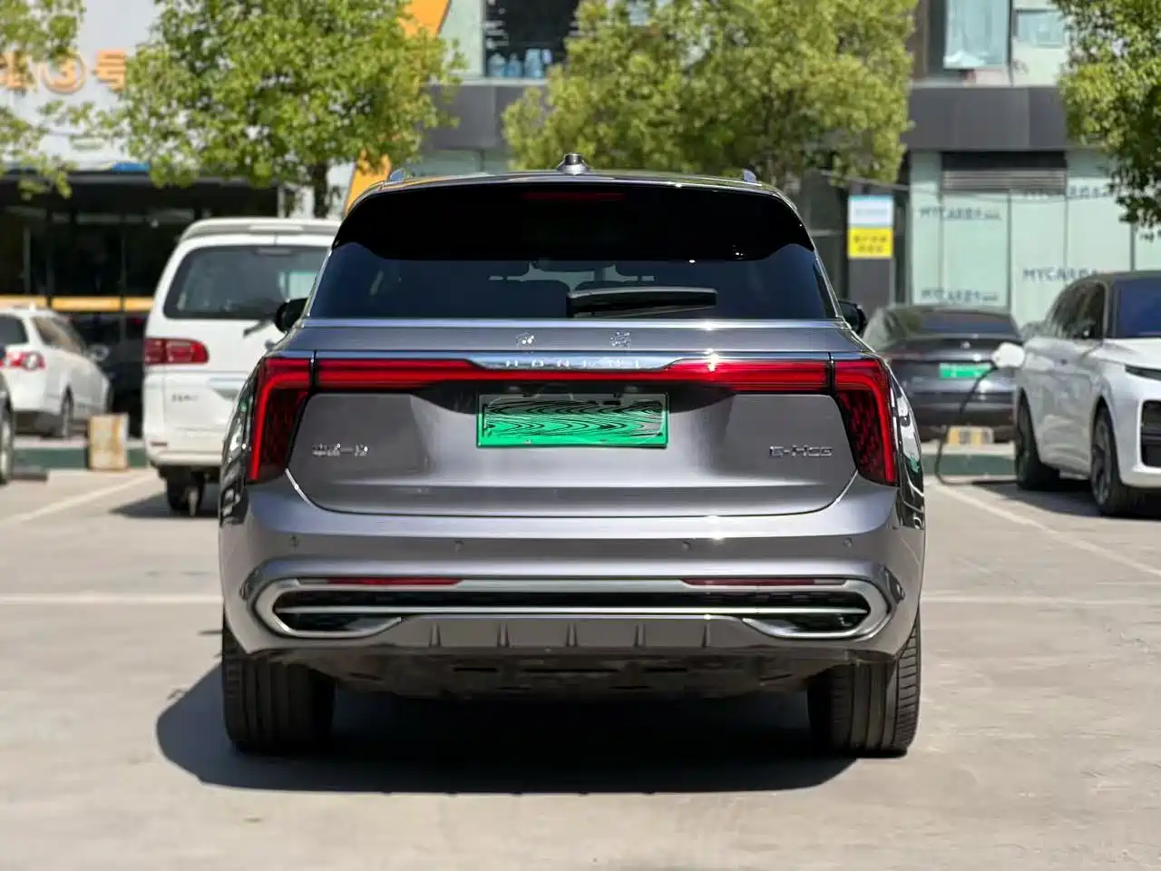 Hongqi E-HS9 2021 460km Flagship Comfort 6-seater фото 17