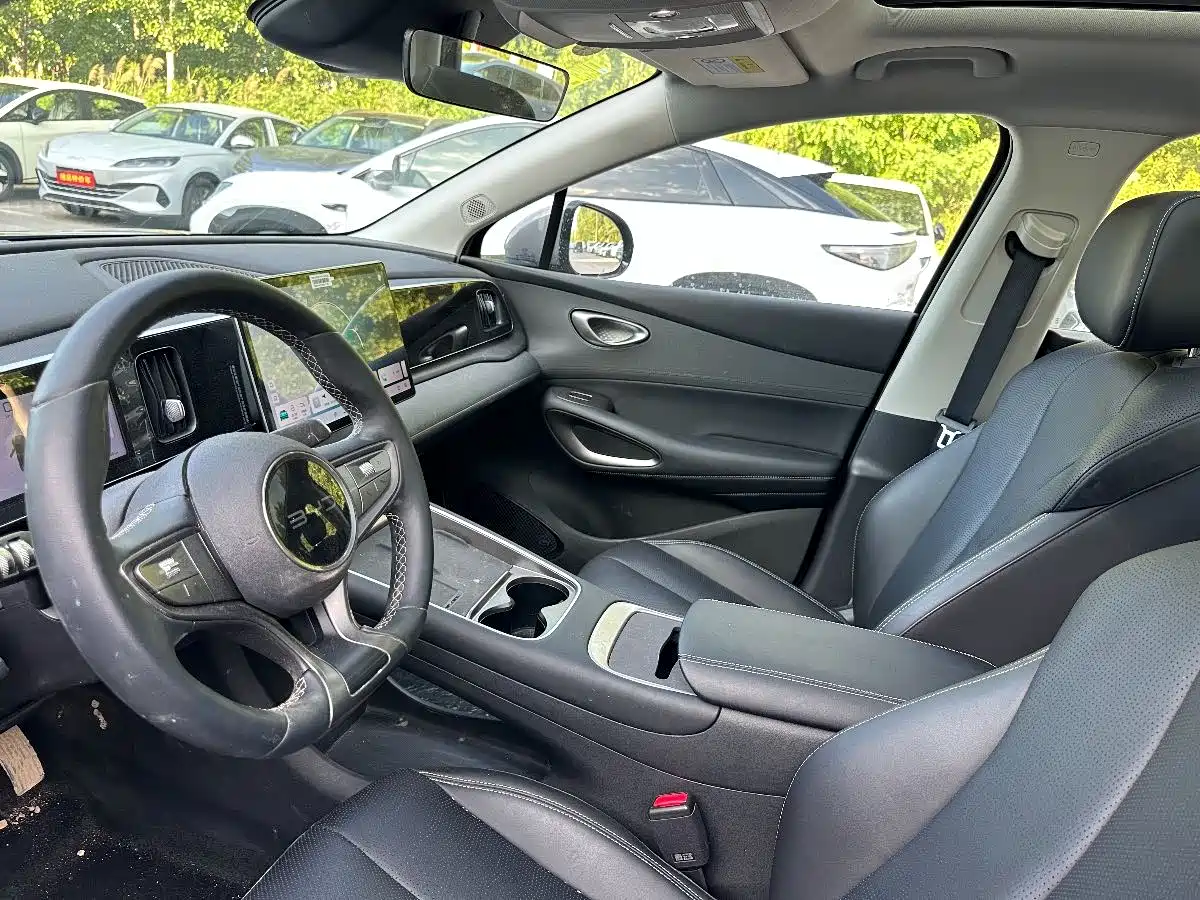 BYD Hai Shi 05 EV 2025 520KM Smart Navigation Edition фото 10