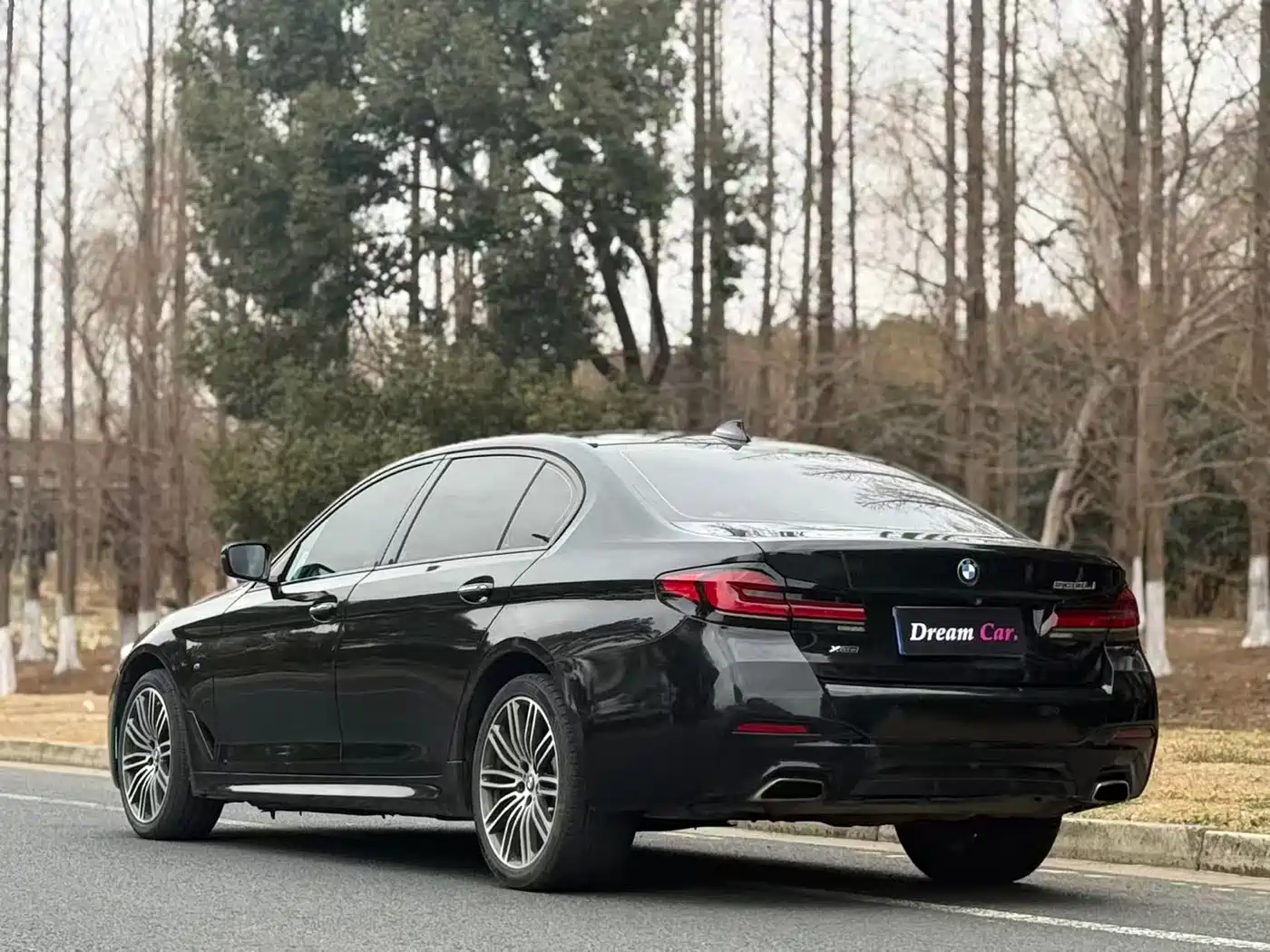 BMW 5 Series 2018 530Li xDrive M Sport Package фото 6