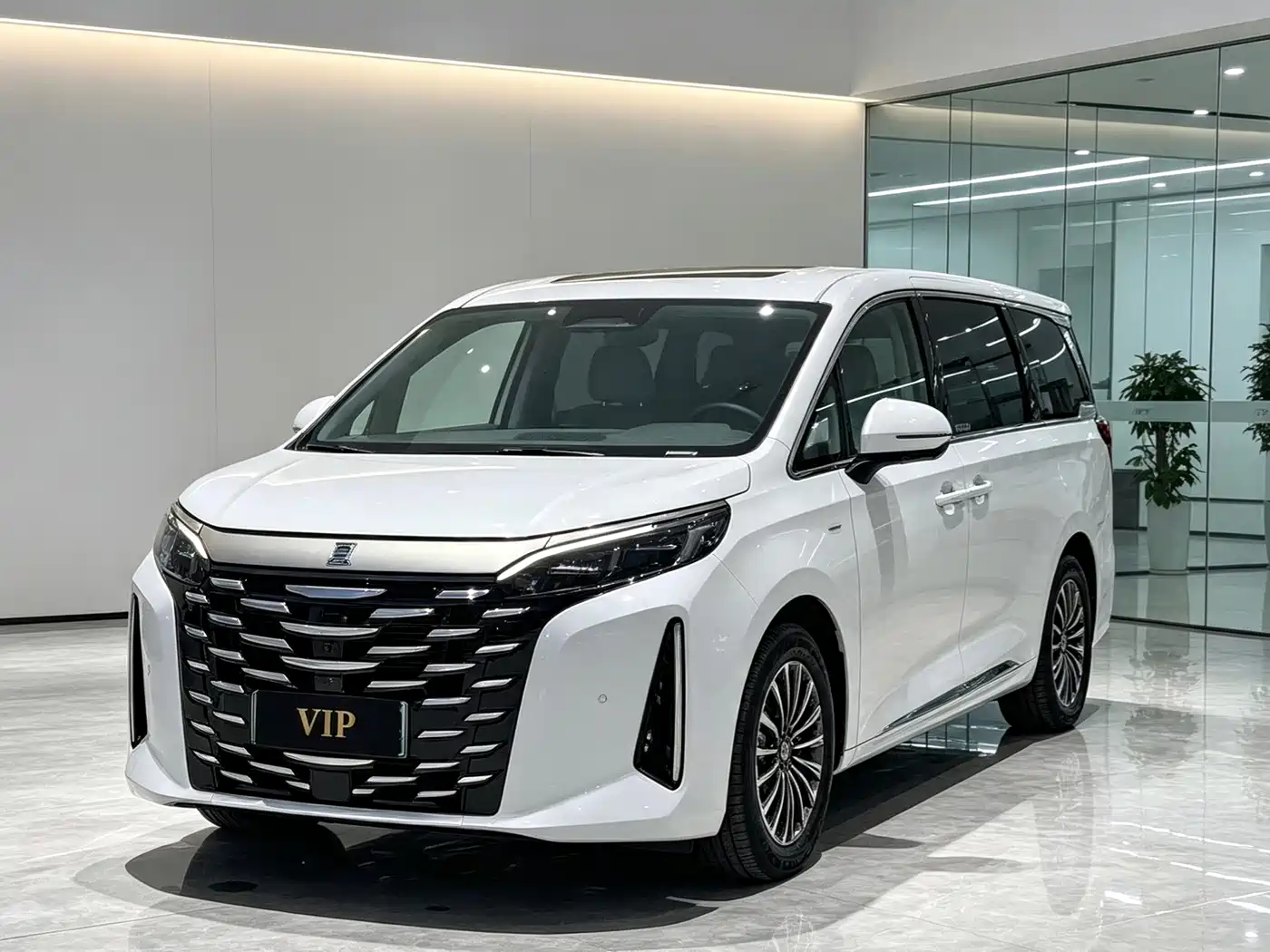 BYD Xia 2025 2025 DM-i 1.5T 180km Excellence