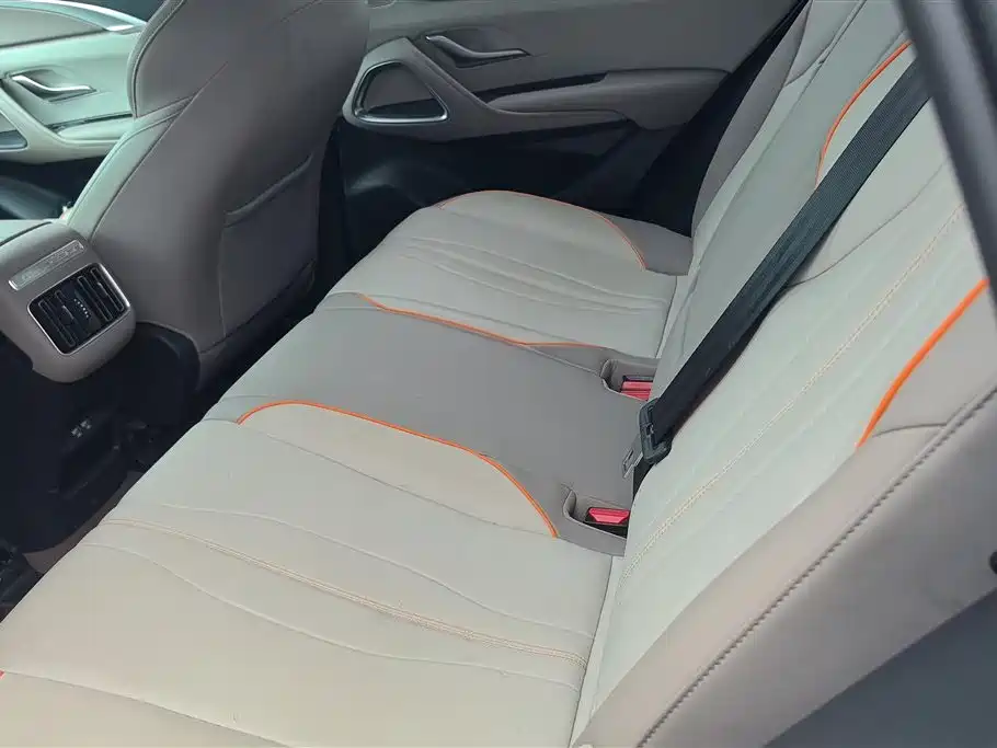 BYD Song Pro New Energy 2024 Glory Edition DM-i 110KM Excellence фото 11