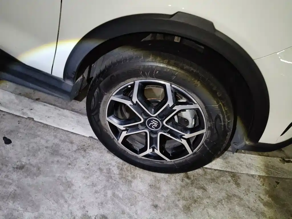 BYD Yuan Pro 2022 2021 401KM Premium Model