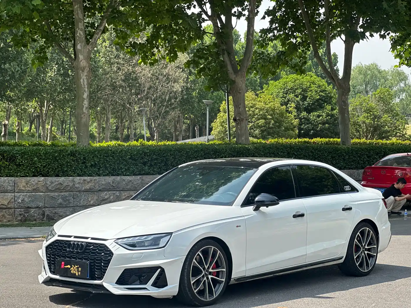 Audi A4L 2020 45 TFSI quattro Premium Dynamic