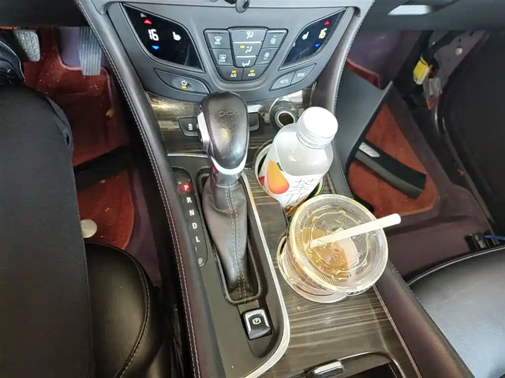 Buick Envision Plus 2018 20T 2WD Elite фото 14