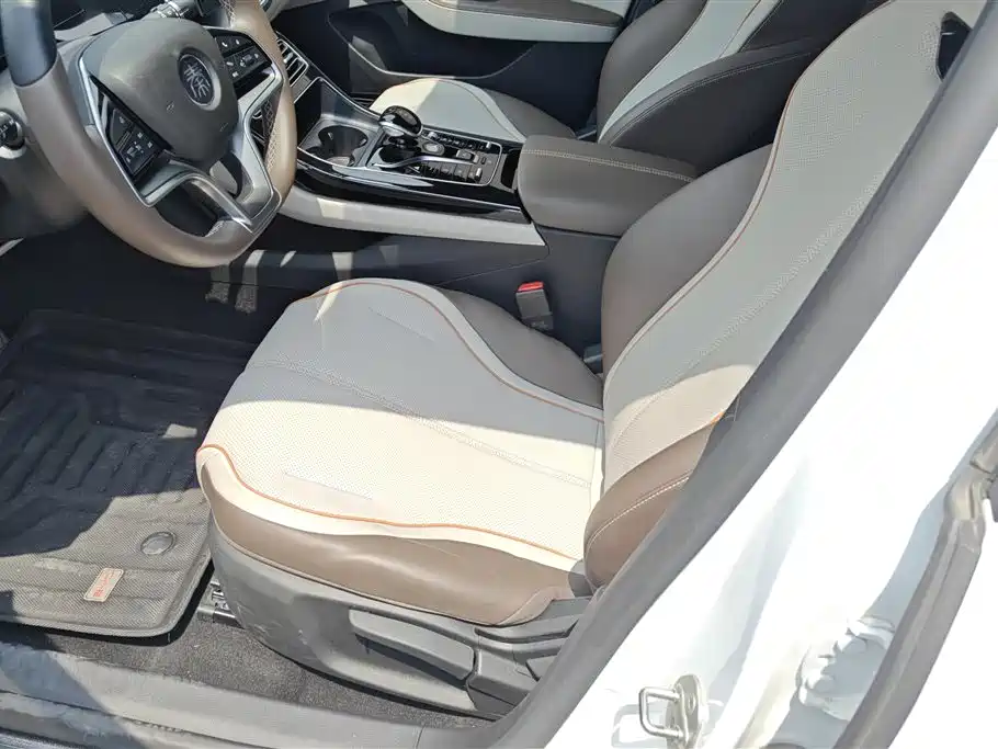BYD Qin PLUS 2024 Glory Edition EV 420KM Leading фото 9