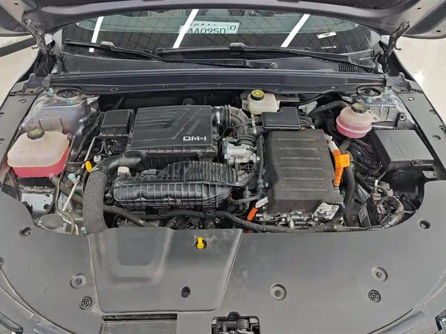 BYD Destroyer 05 2024 Glory Edition DM-i 55KM Luxury фото 10