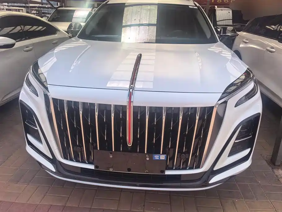 Hongqi HS3 2024 1.5T Virtue Edition фото 2