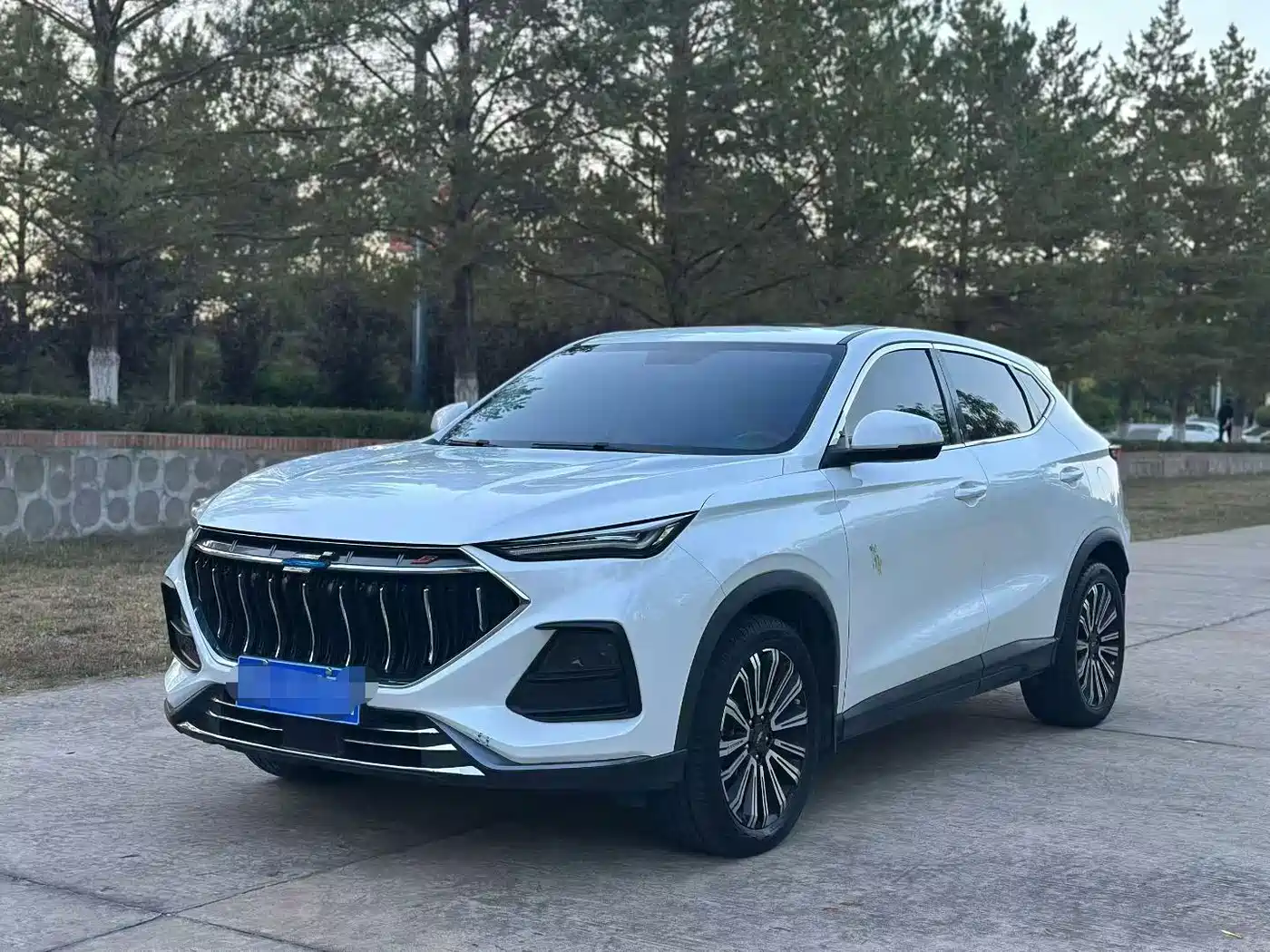 Changan Oshan Changan Oushang X5 2021 2021 1.5T DCT Premium