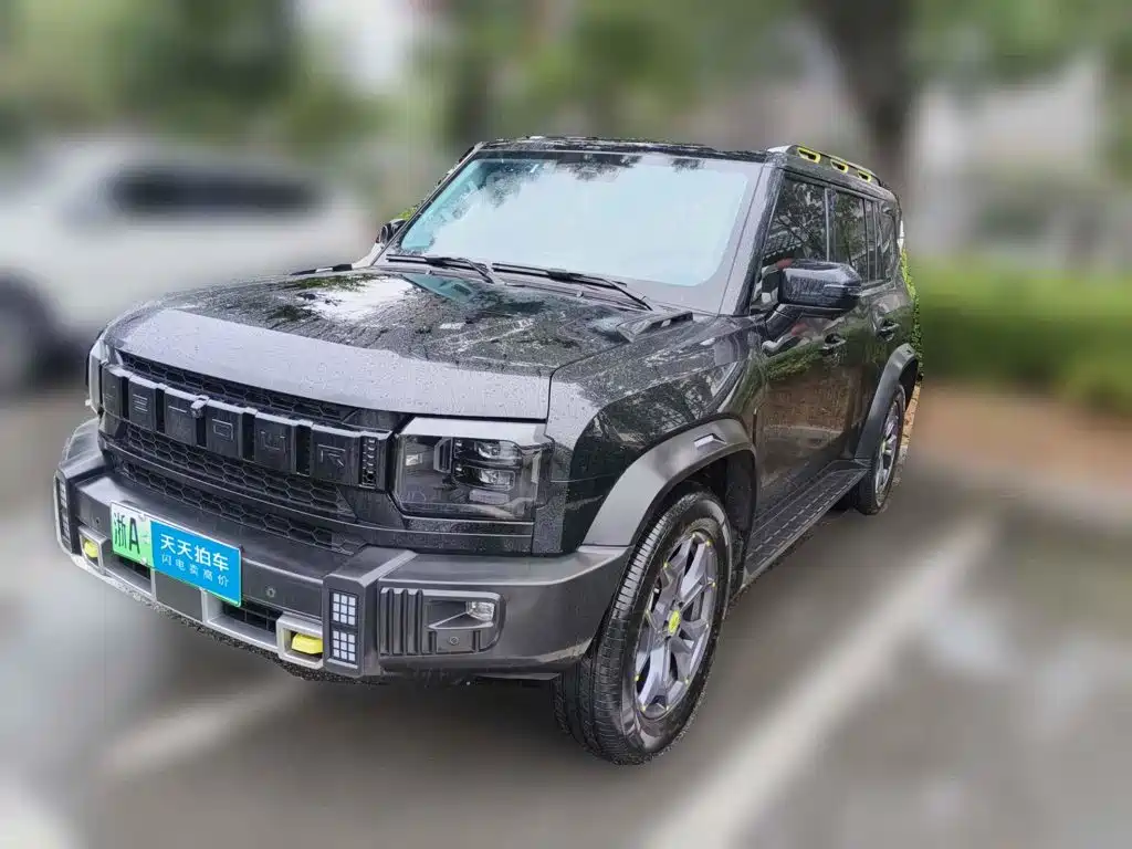 Jetour Jetour Shanhai T2 2024 C-DM 129KM Forest Edition