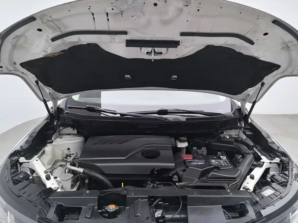 Renault Koleos 2018 2018 2.0L 2WD Luxury Edition