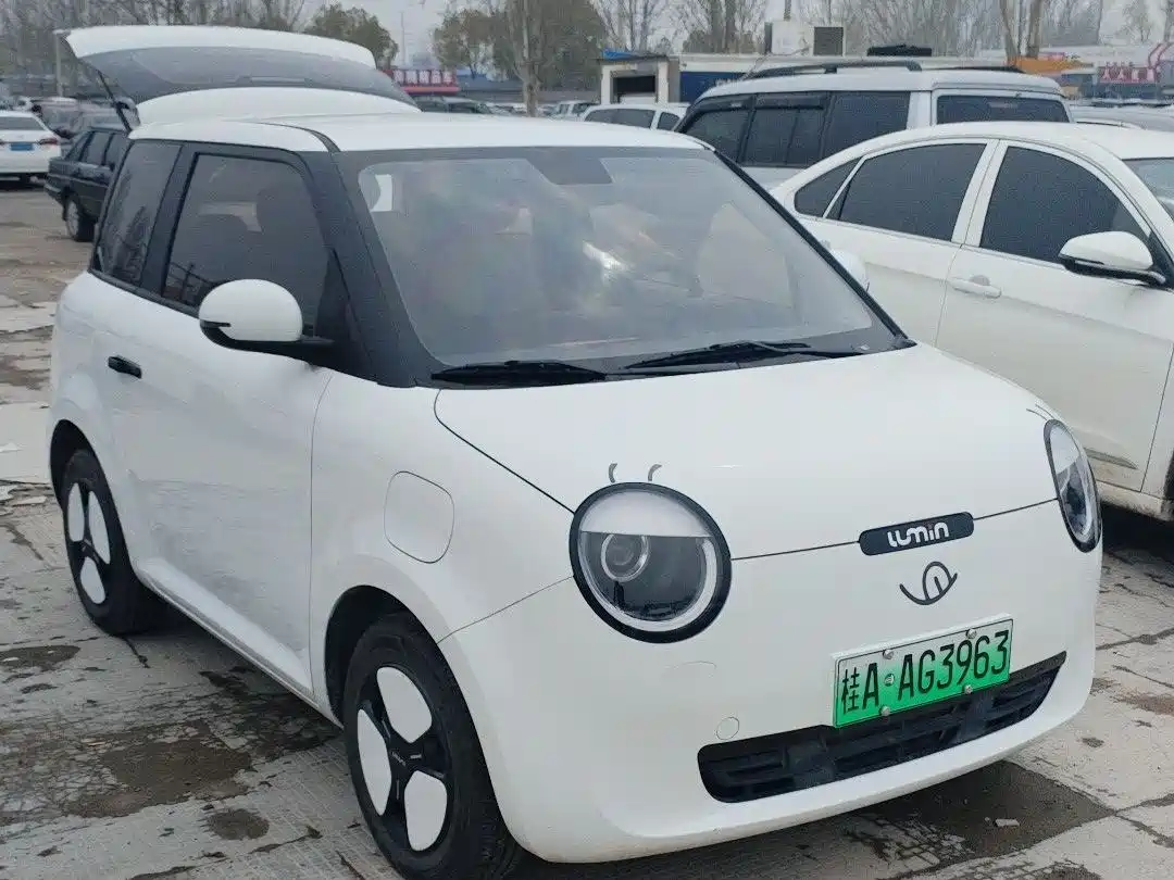 CHANGAN CHANGAN LUMIN