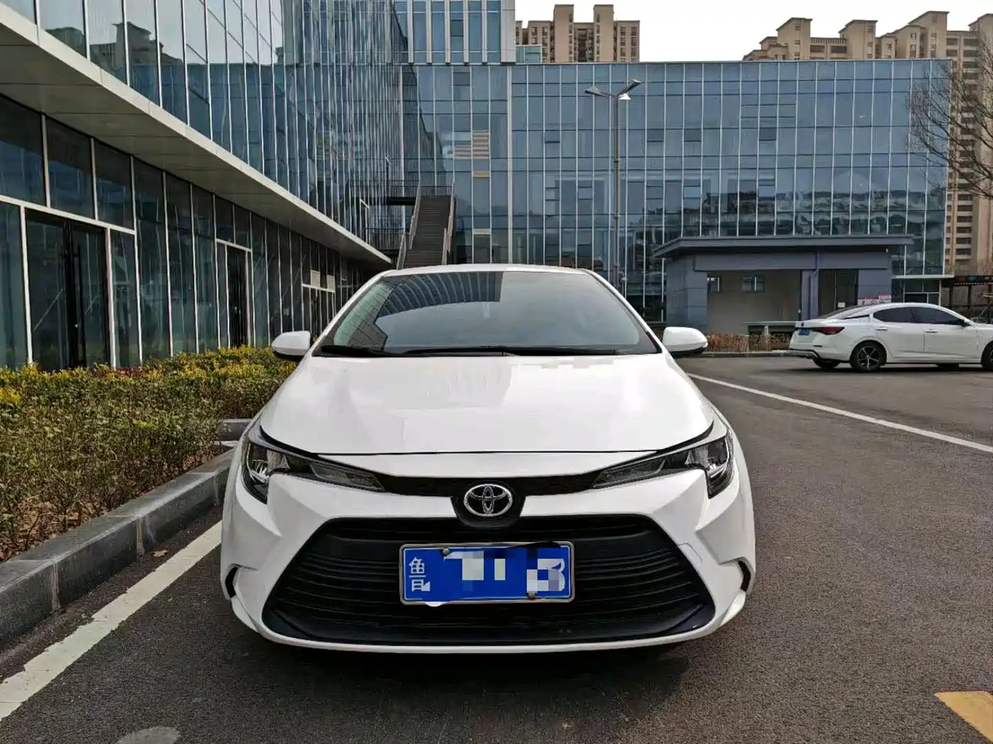 Toyota Levin 2023 TNGA 1.5L CVT Progressive фото 2
