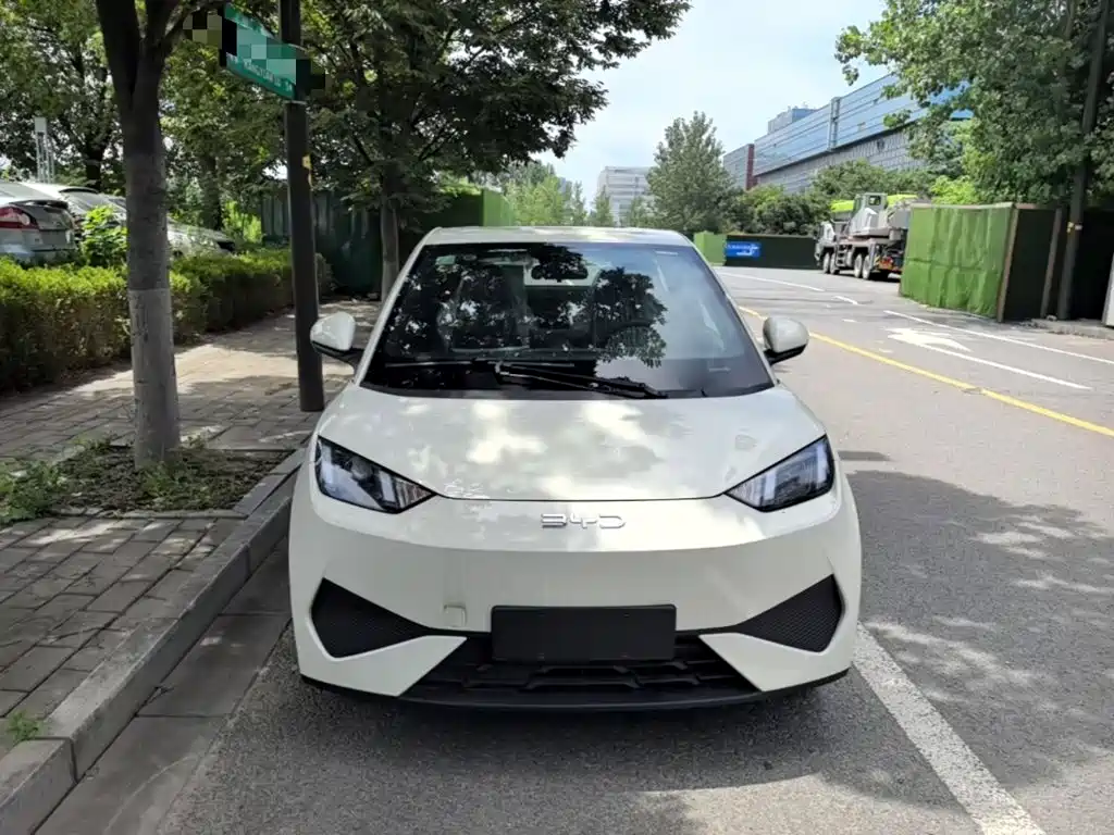 BYD Seagull 2026 2025 Smart Drive Edition 305km Vitality Version