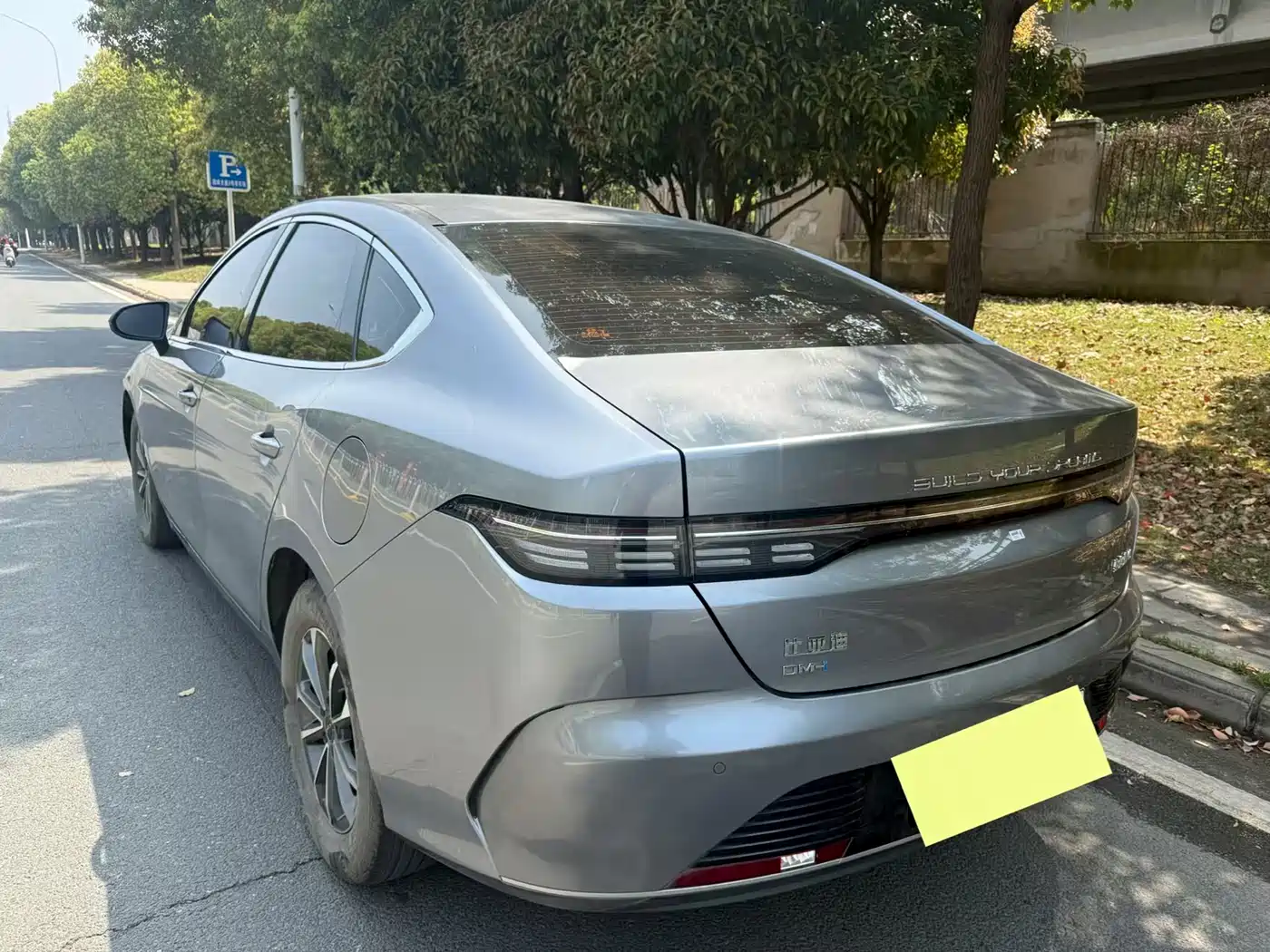 BYD Destroyer 05 2023 Champion Edition DM-i 55KM Luxury фото 8