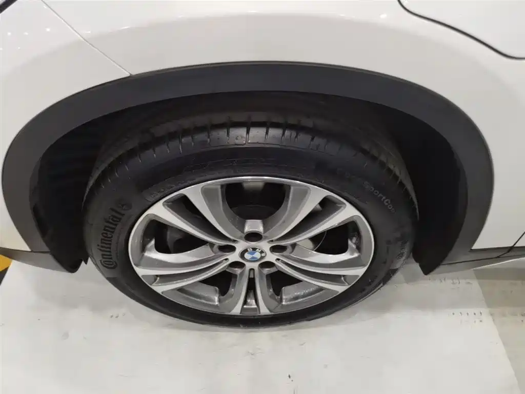BMW X1 New Energy 2020 xDrive30Le Premium Edition фото 23
