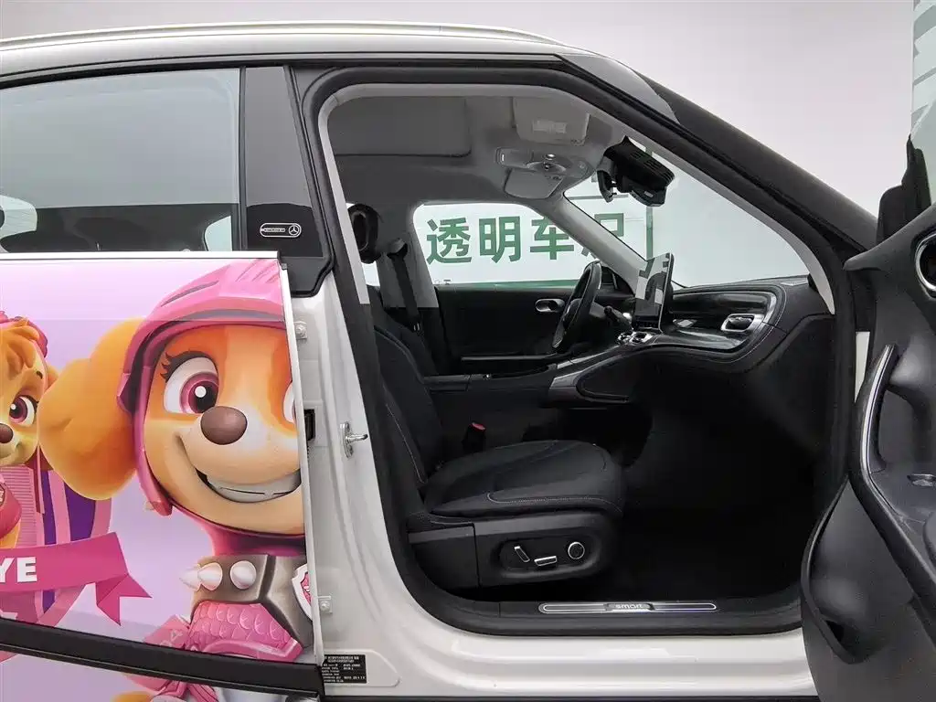 smart Elf #1 2024 Agile Standard Edition фото 23