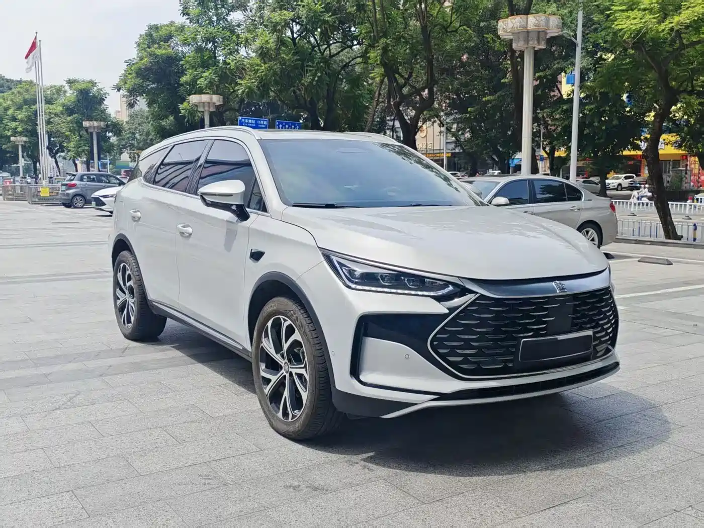 BYD Tang New Energy 2025 2025 Smart Driving Edition DM-i 115KM Flagship