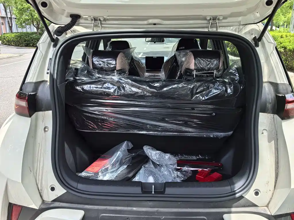 BYD Seagull 2026 2025 Smart Drive Edition 305km Vitality Version
