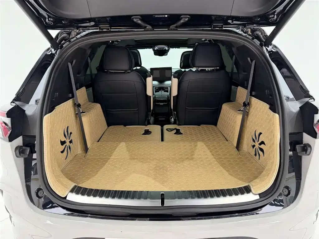 BYD Tang New Energy 2022 DM-p 215KM AWD Flagship фото 14